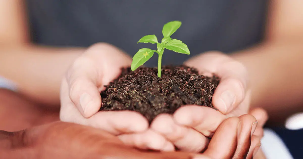 Axelent environmental development